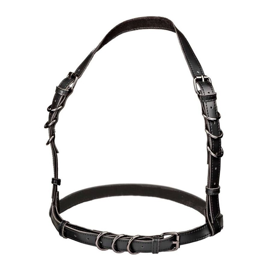 CALIFORNIA EXOTICS - EUPHORIA PLUS SIZE HALTER BUCKLE HARNESS SCHWARZ